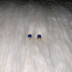 Blue Stud Earrings